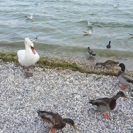Antico Convento Lejlighed Moniga del Garda Eksteriør billede