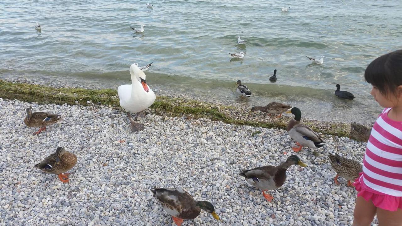 Antico Convento Lejlighed Moniga del Garda Eksteriør billede